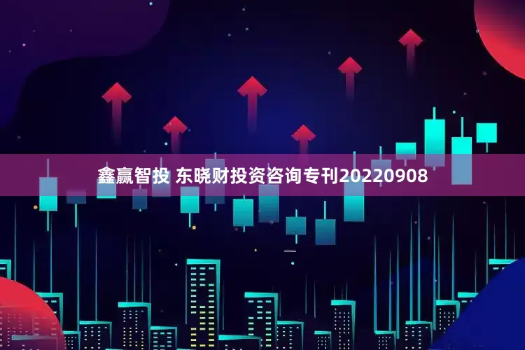 鑫赢智投 东晓财投资咨询专刊20220908