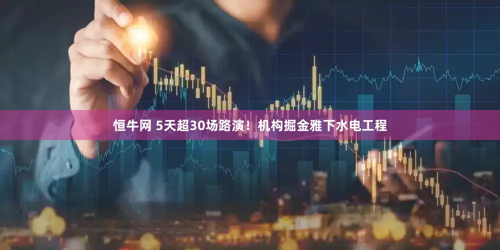 恒牛网 5天超30场路演！机构掘金雅下水电工程