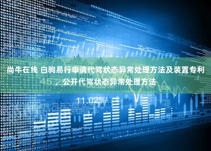 尚牛在线 白驹易行申请代驾状态异常处理方法及装置专利，公开代驾状态异常处理方法