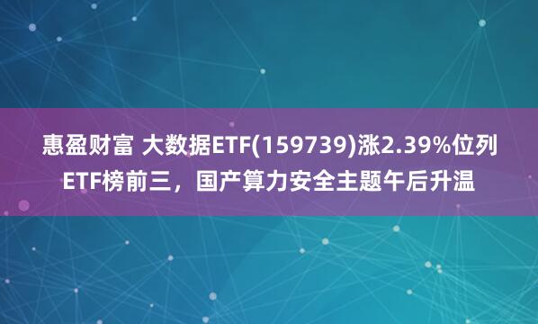 惠盈财富 大数据ETF(159739)涨2.39%位列ETF榜前三，国产算力安全主题午后升温